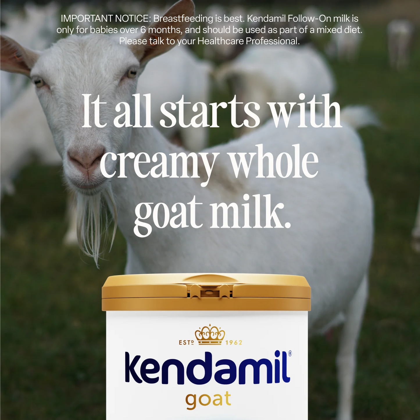 Kendamil Goat Stage 2 Follow On Milk Formula 800g