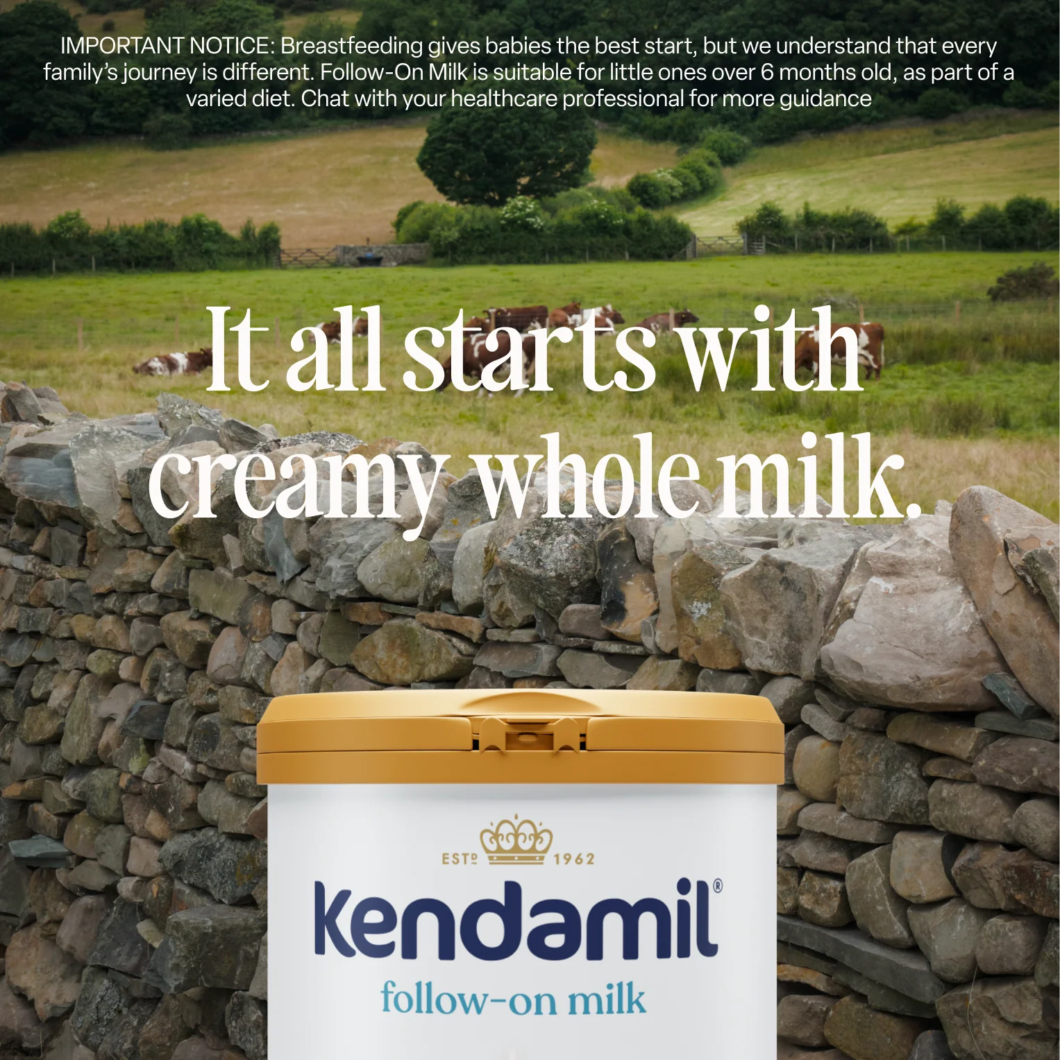 Nurture Your Baby’s Brightest Future Today!