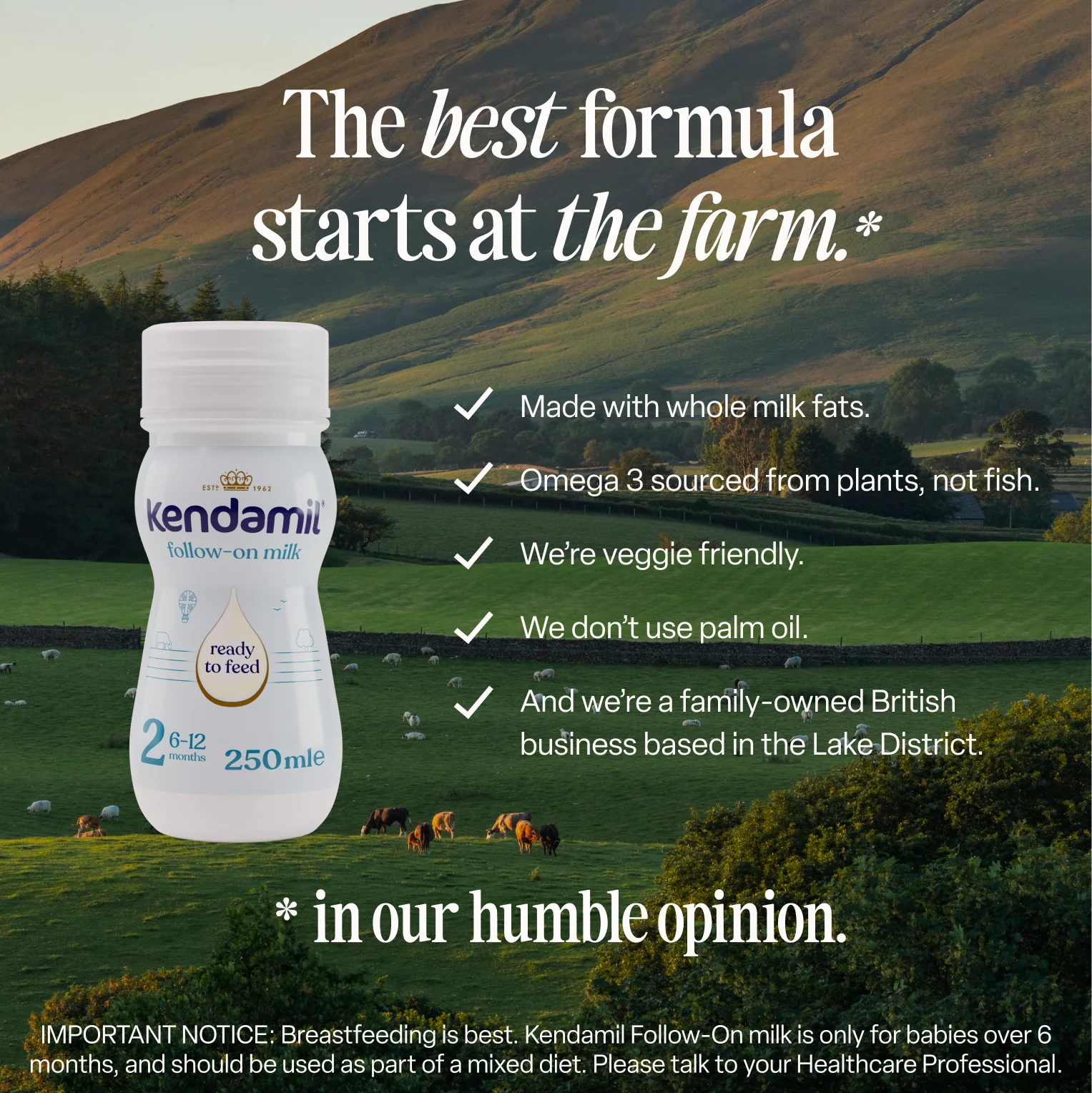 Nourish Your Baby, Embrace Peace of Mind