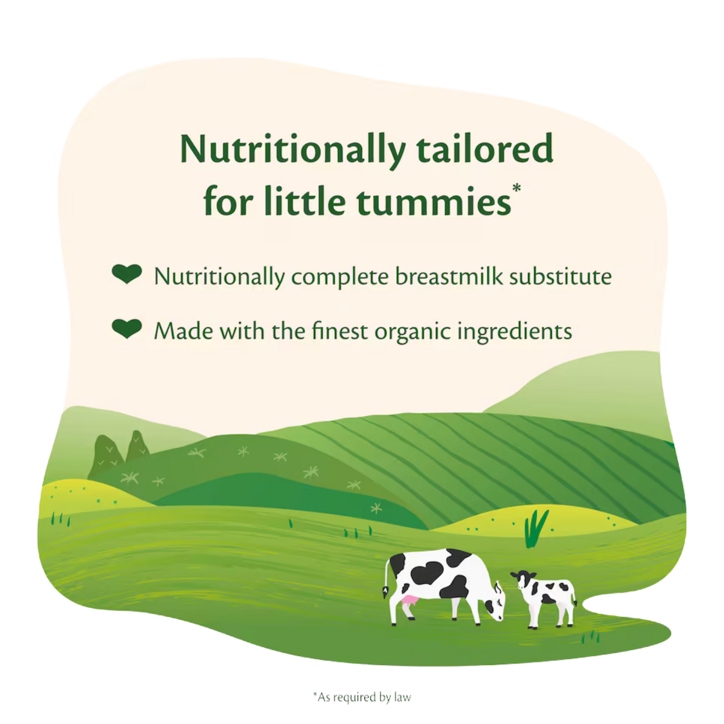 HiPP UK Stage 1 Organic First Infant Baby Formula (from birth) 800g (Can)