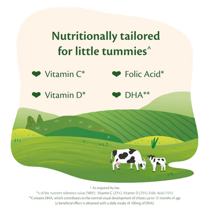 HiPP UK Stage 2 Organic Follow On Baby Formula (from 6 months) 800g (Can)